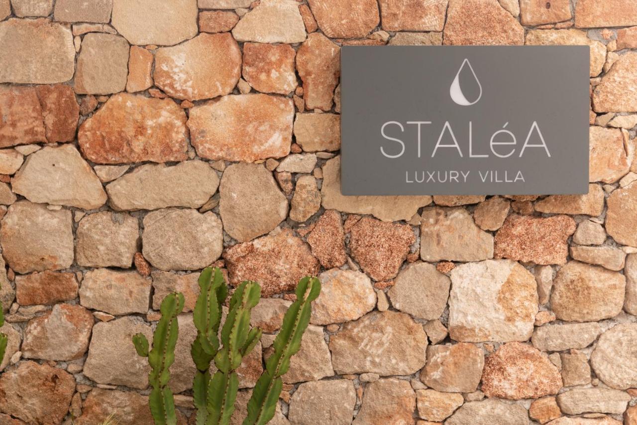 Stalea Luxury Villa Pefki Екстериор снимка
